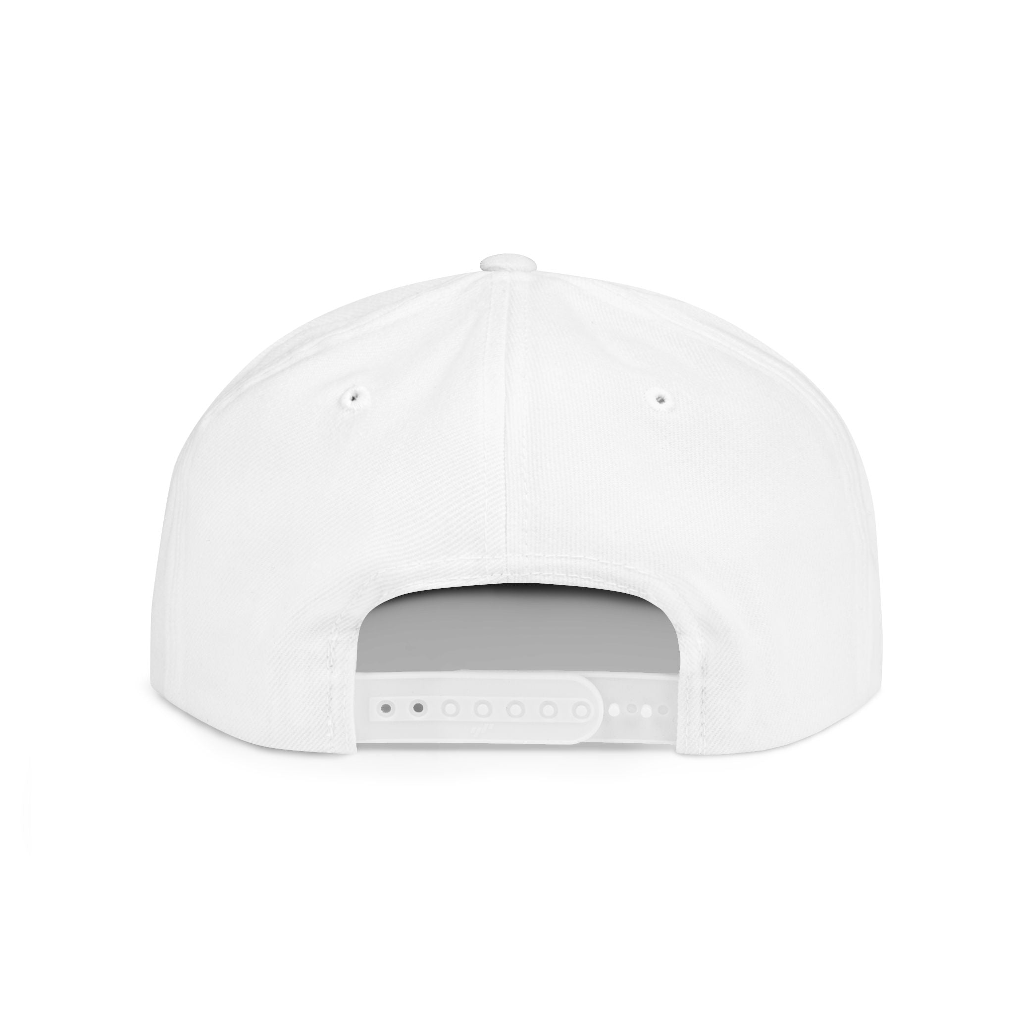 Snapback Hat — "We're All Shades of Brown" Donut Diversity Design
